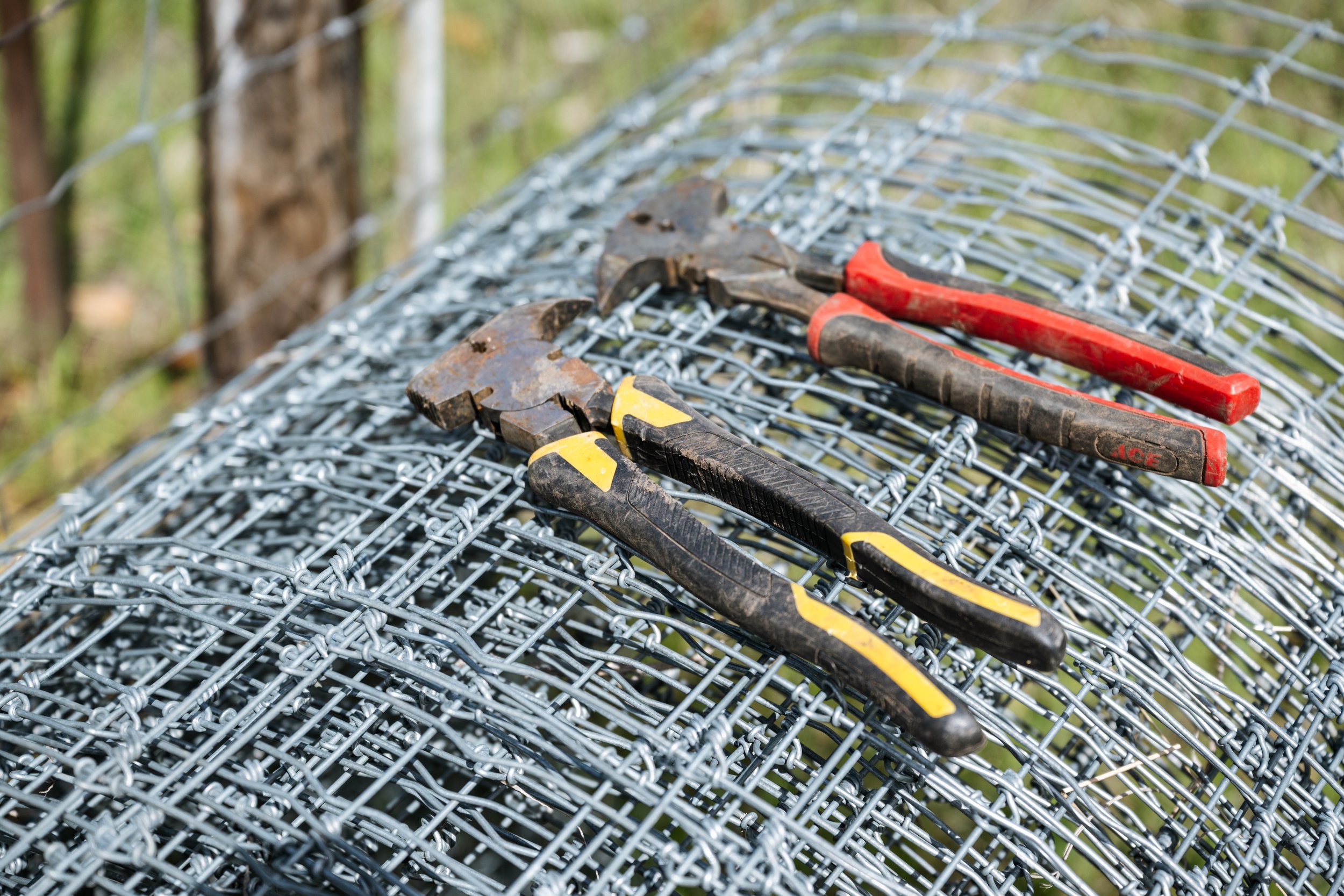 Volunteer to mend fences!