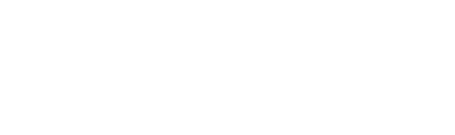 Adriana Eftimie