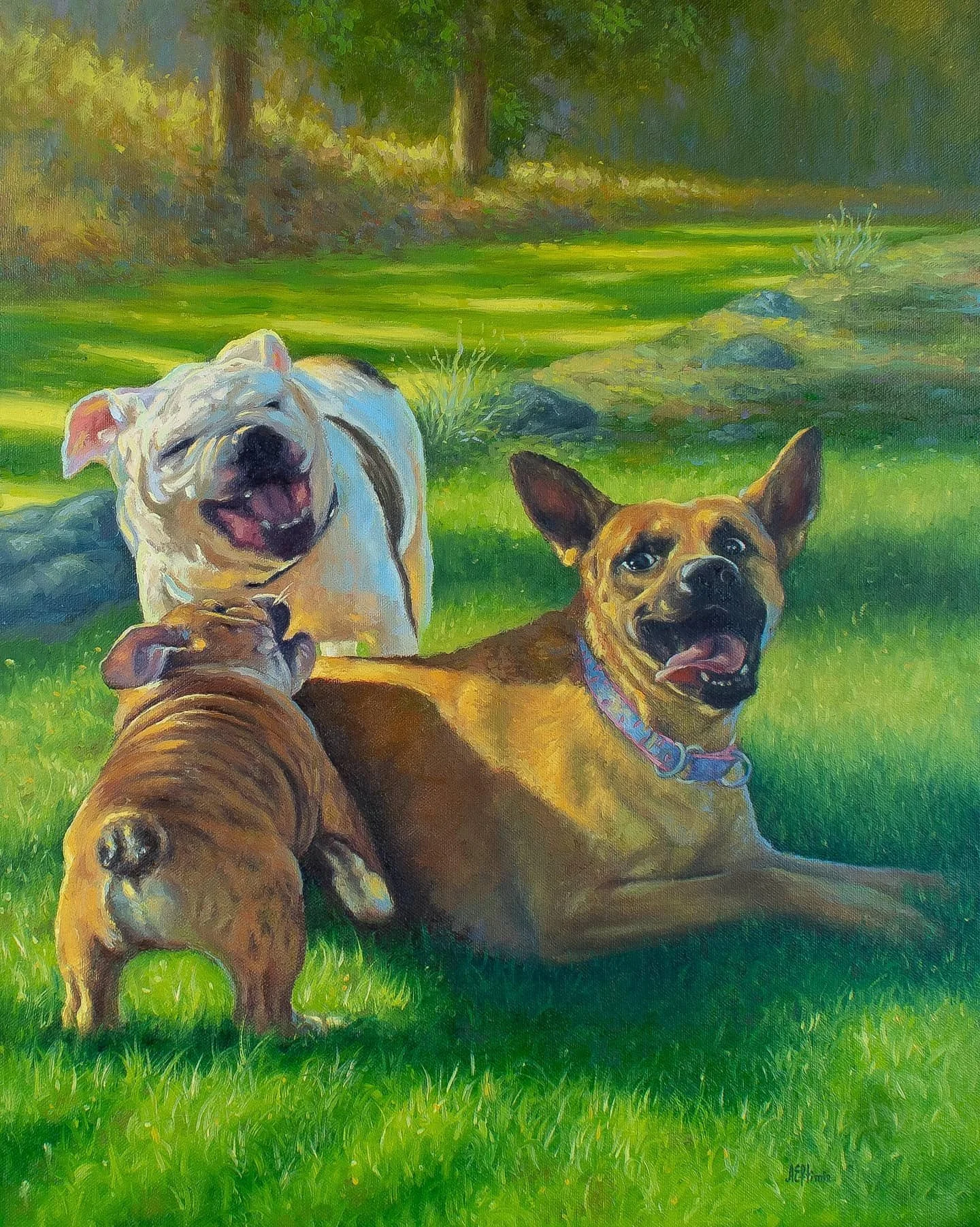 dog-portrait- boston- cape-cod-realistic-dog-commisssion-oil-painting-marthas-vineyard-adriana-eftimie-custom-made-pet-portrait-.jpg