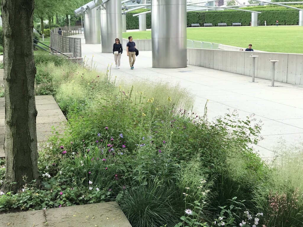 Millennium Park Landscape Master Plan