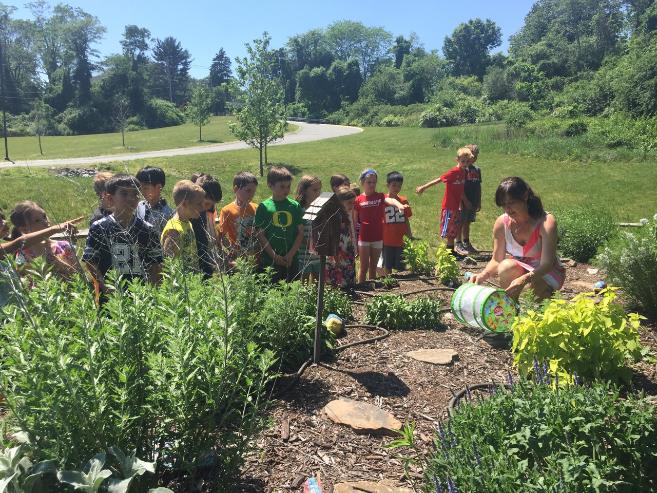 Butterfly Garden