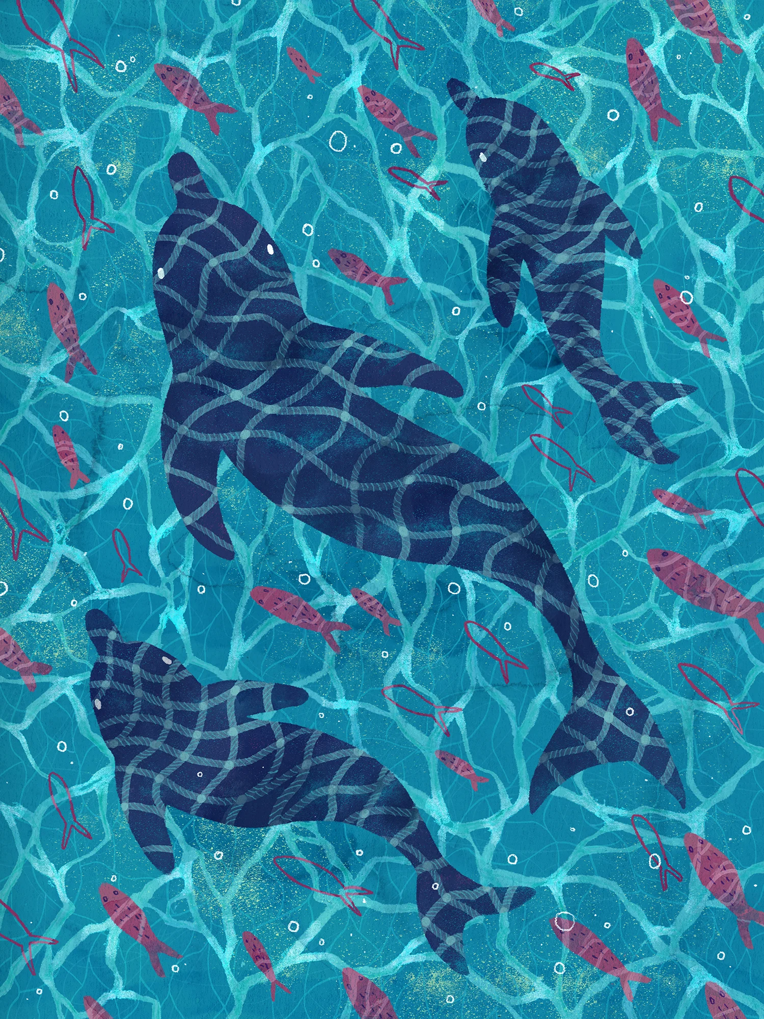  dolphin - bycatch 