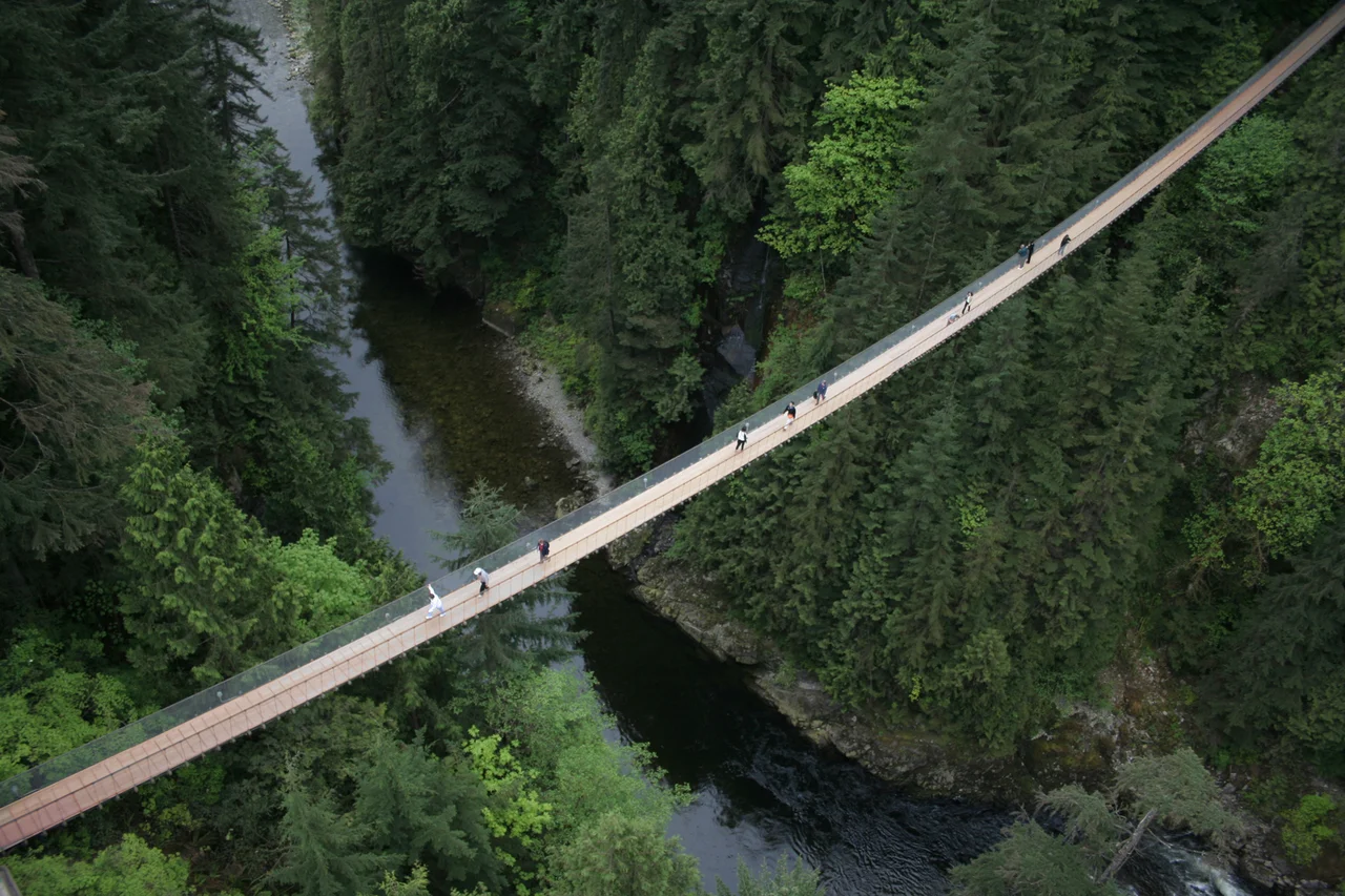 Bridge-Wide-Shot0_b81ea597-5056-b3a8-490ef5de9a48ac19.jpg