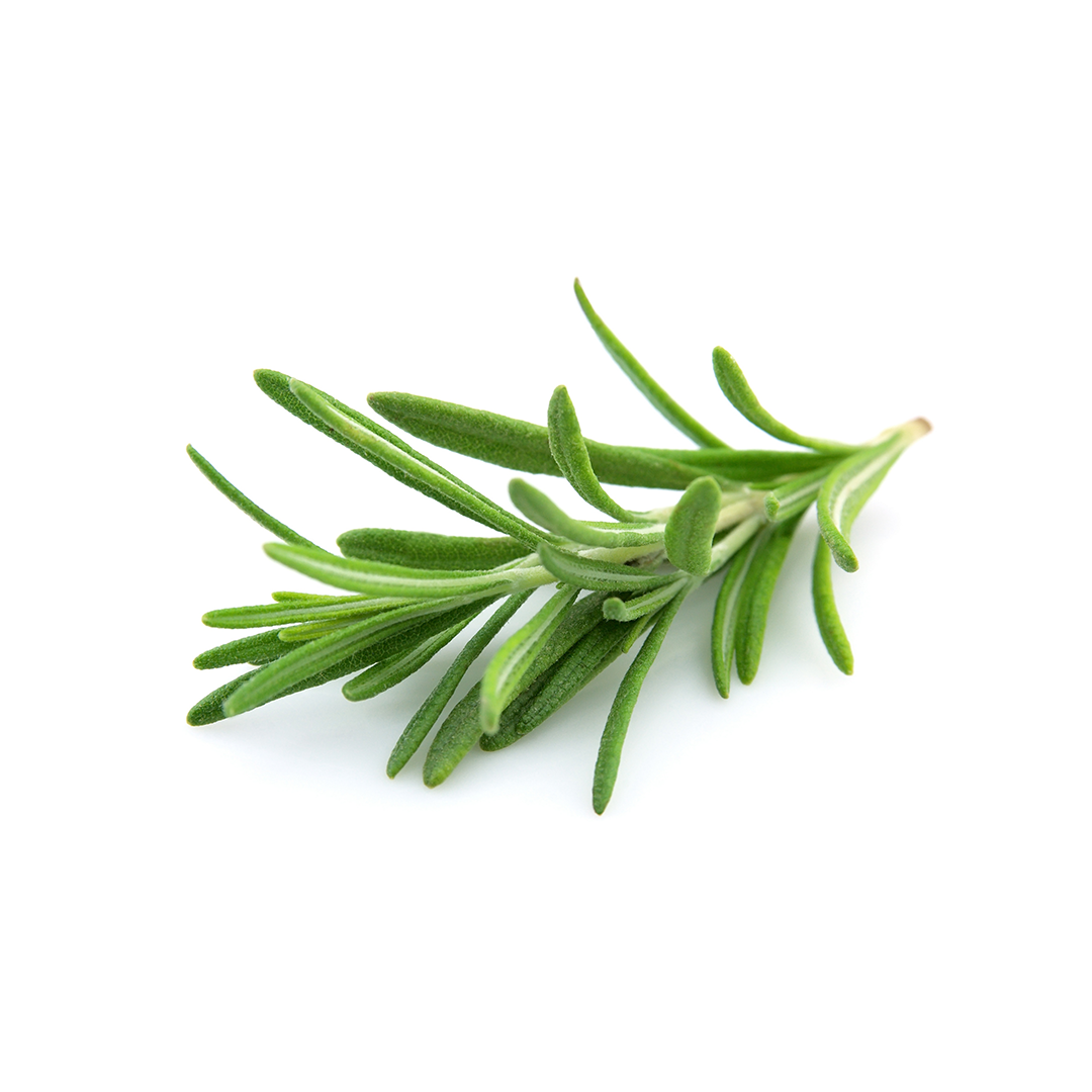 rosemary