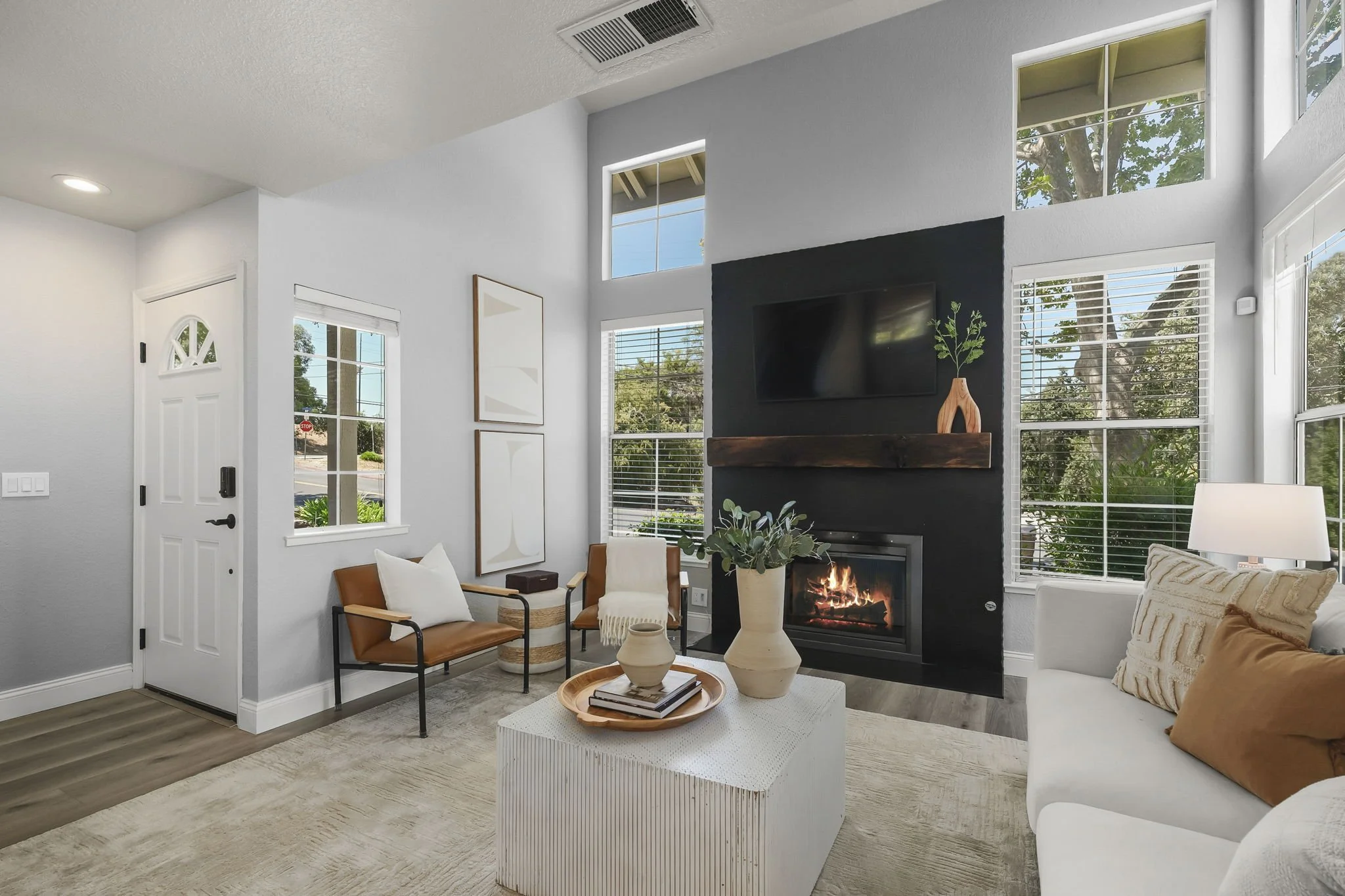 6-web-or-mls-109_FigTree-25.jpg