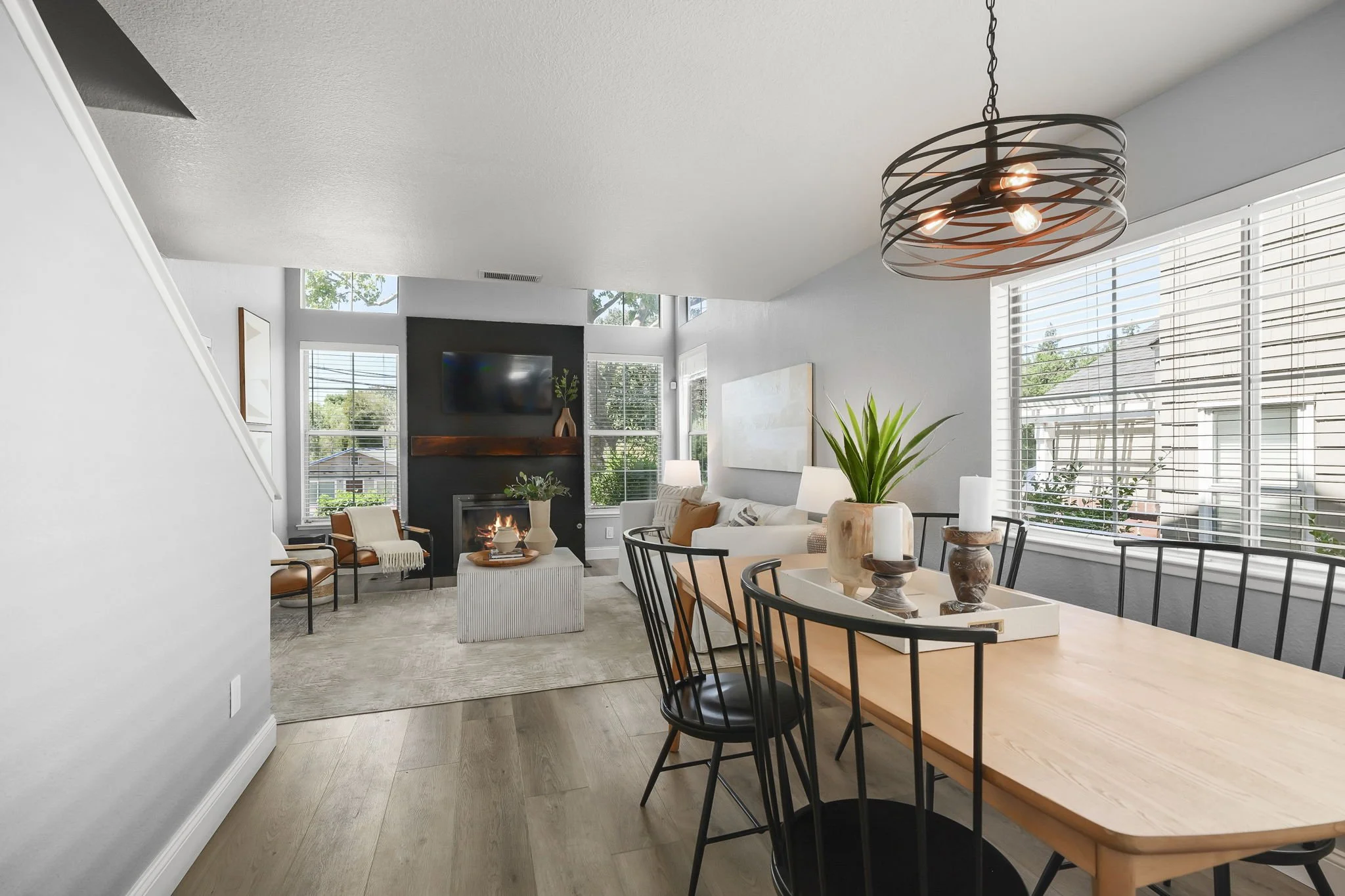 11-web-or-mls-109_FigTree-76.jpg