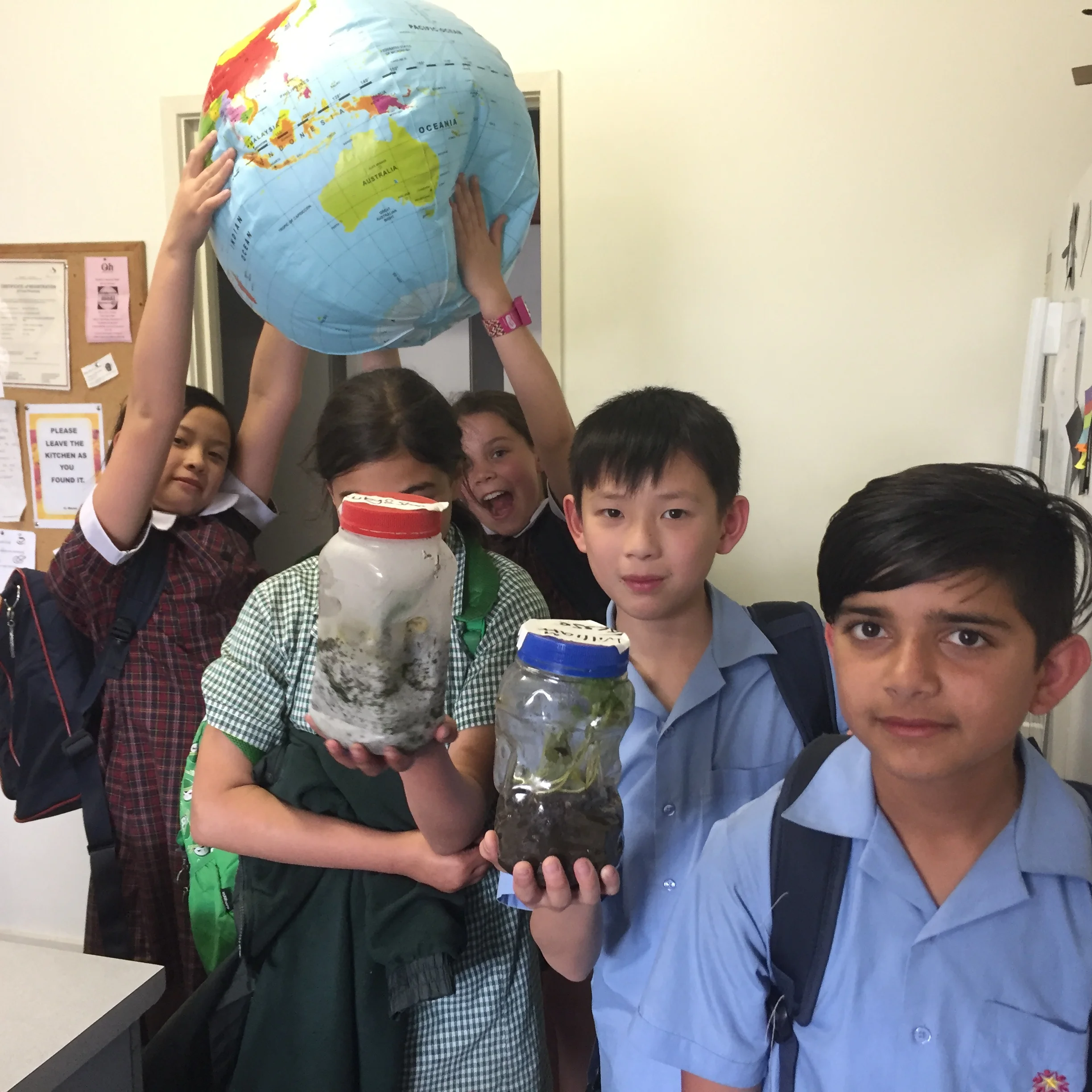 Climate Change in Terrariums