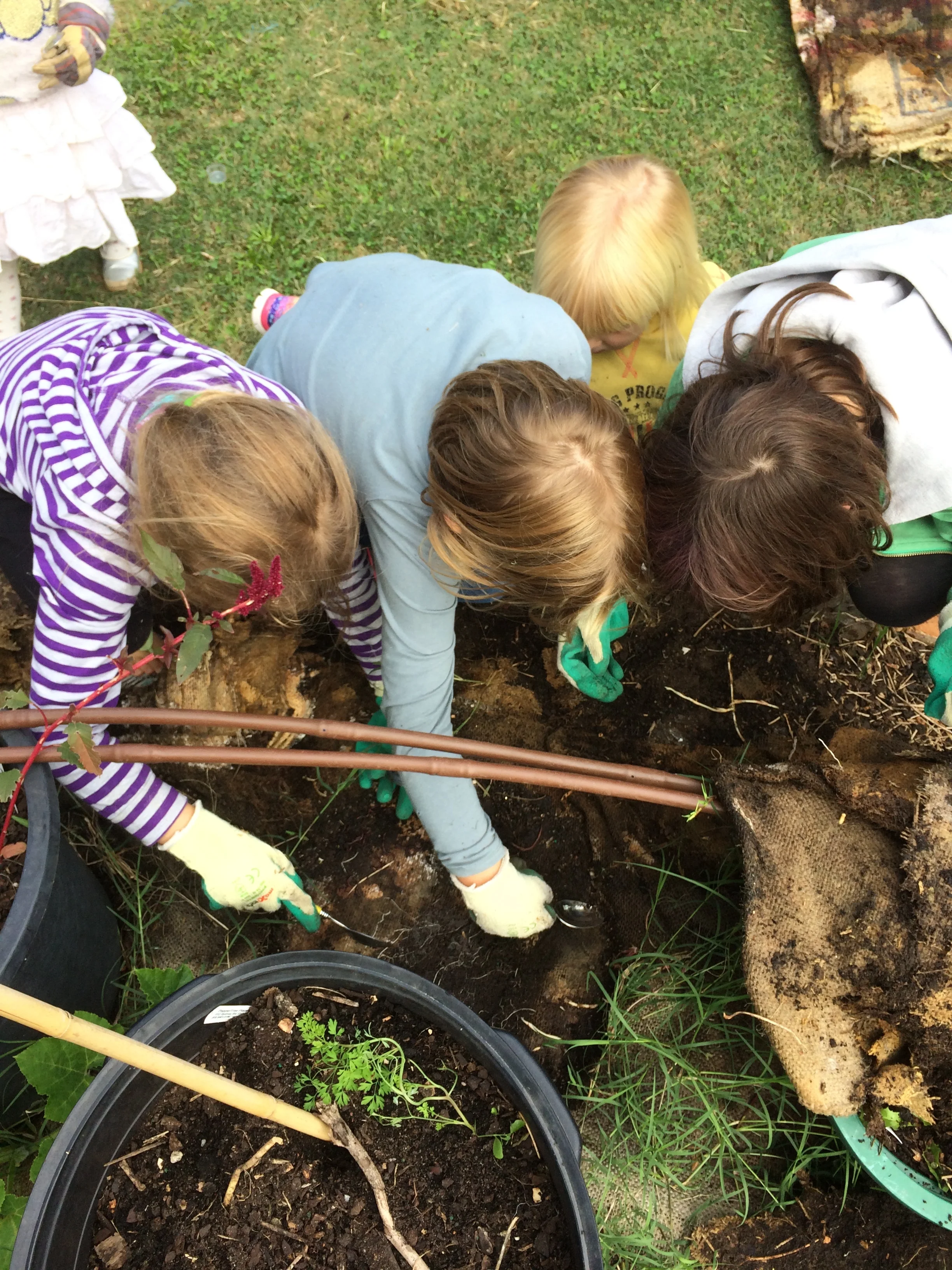STEAM at Springfield Gardens Primary Hobart
