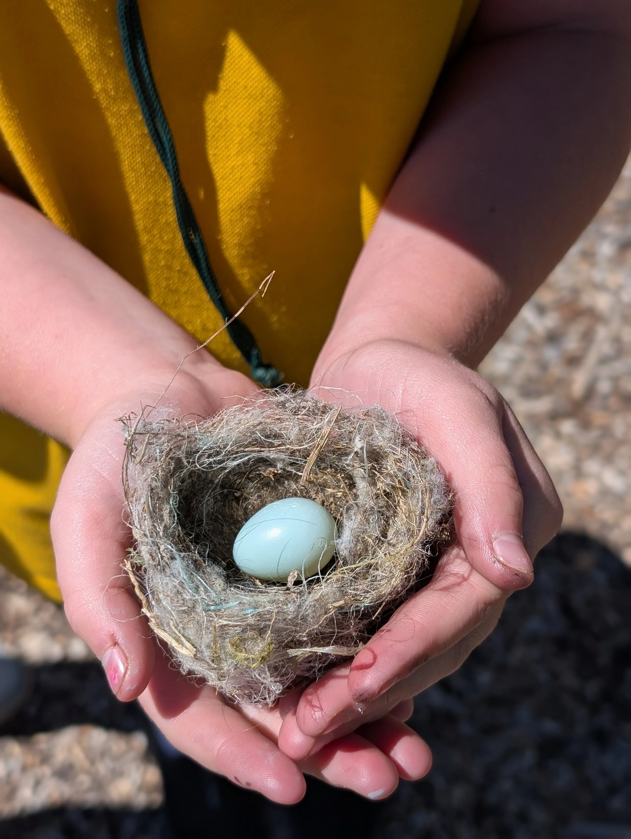 Tour of Food Forest at Longford Primary School