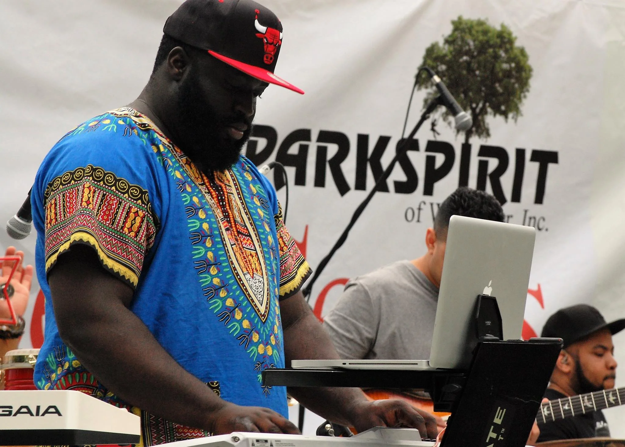 Dan Burke Elm Park Concert.jpg