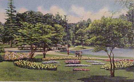 elmpark1930.jpg