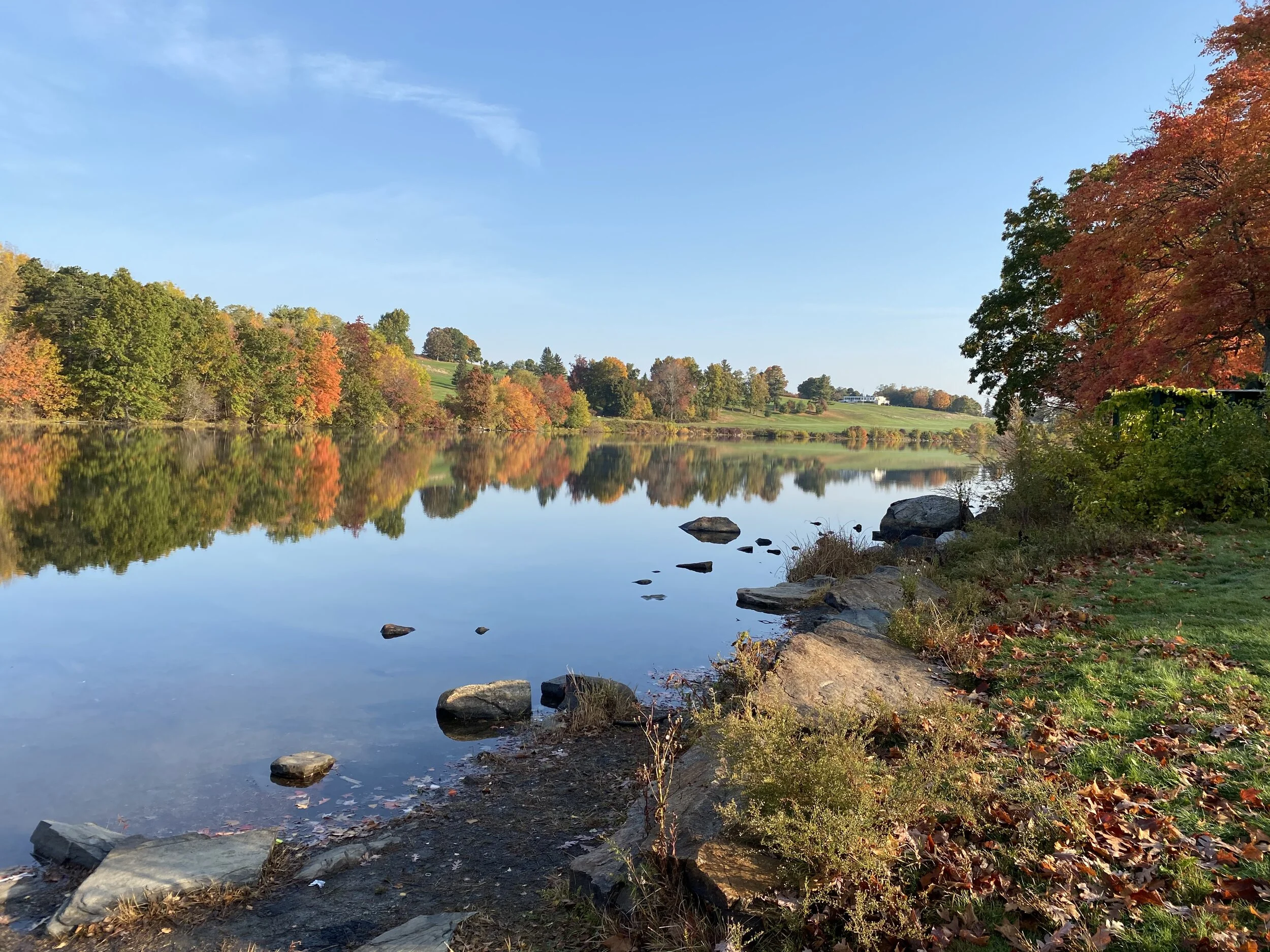 Green Hill Pond — Park Spirit of Worcester, Inc.
