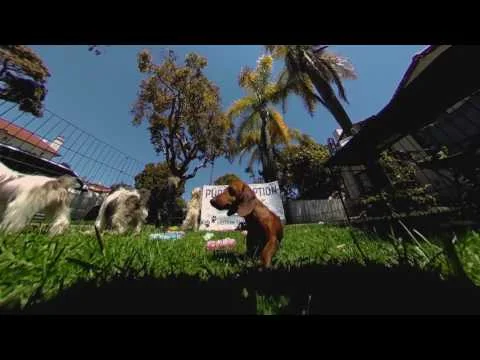 360fly: Get ready for Summer in 360°