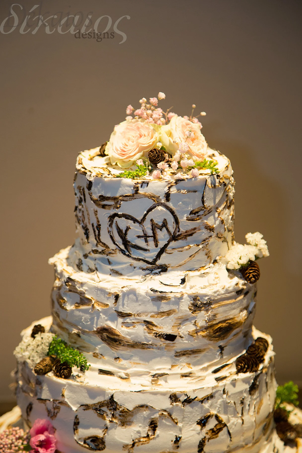 A friend of the bride made this beautiful birch tree cake with their initials carved in.