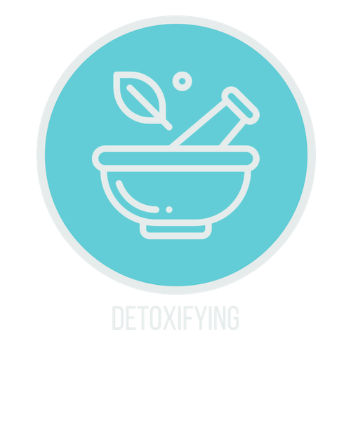 detoxifying icon.png