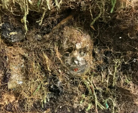 Blowout: Terry Durst and Jon Gott