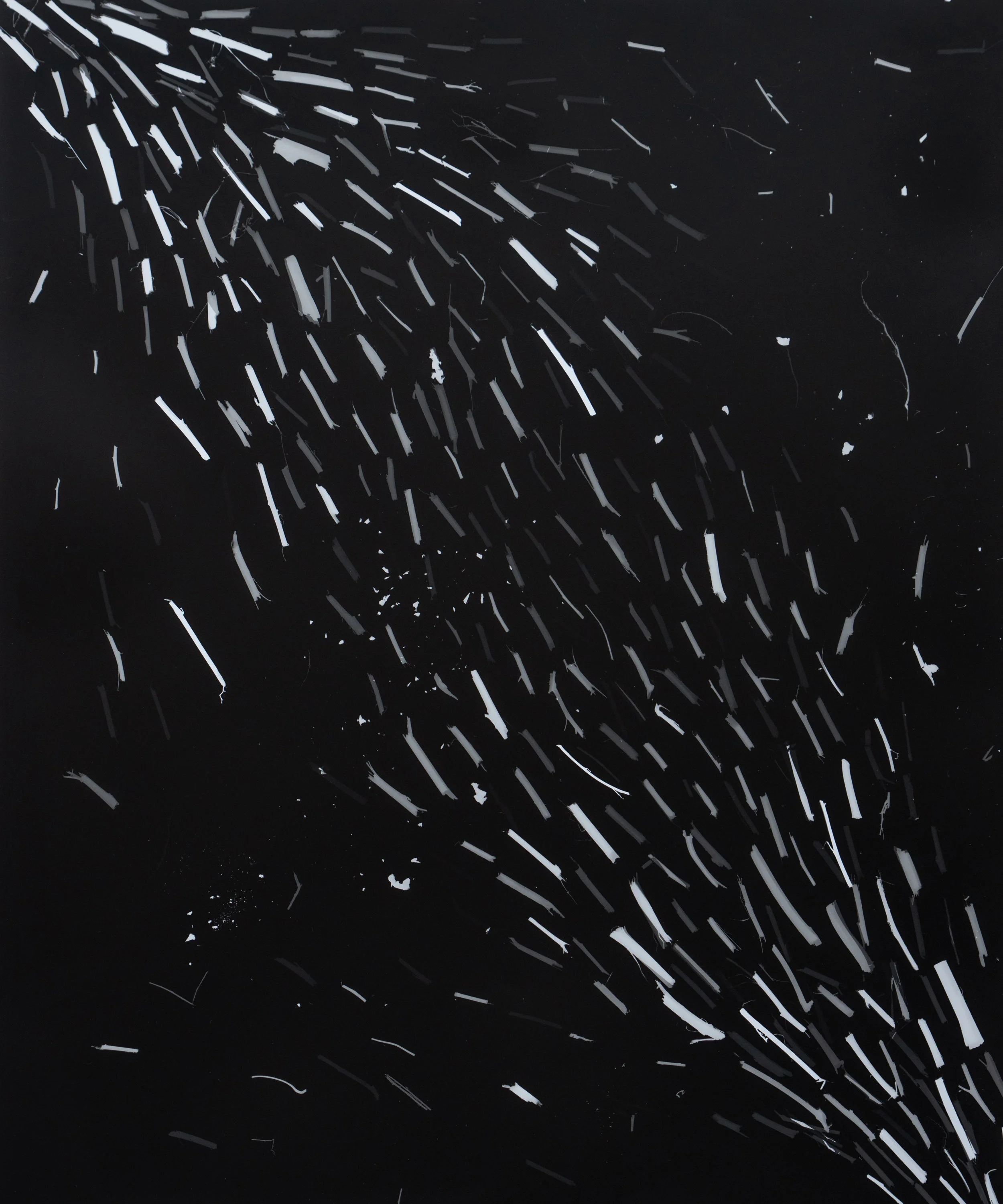 "Roll" 20x24 Silver Gelatin print
