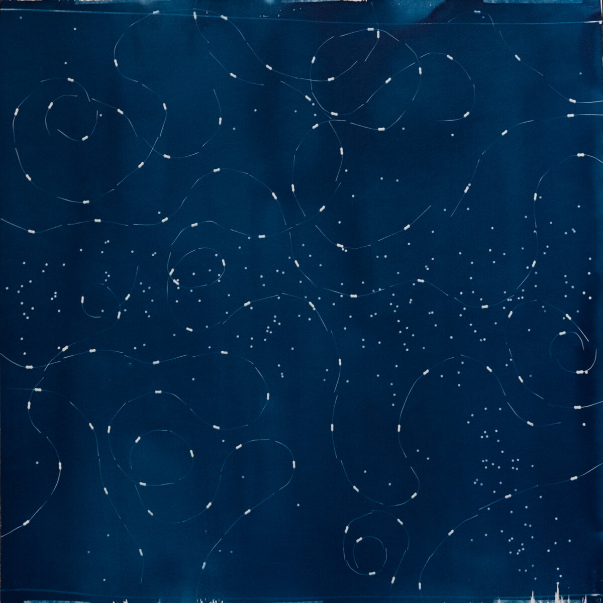 Twire Series, 22x22 cyanotype