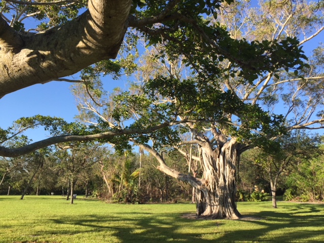 Matheson Hammock Barbara Tria  2.JPG