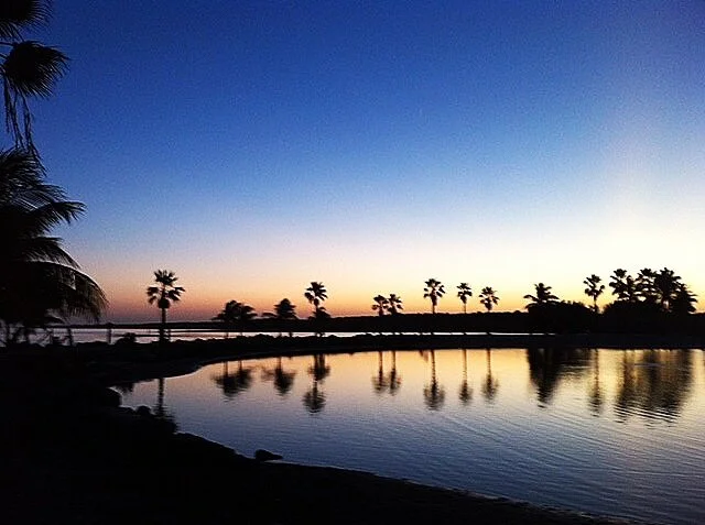 Sunset at Matheson Hammock