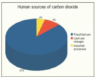 Source: Le Quéré, C. et al. (2013). The global carbon budget 1959-2011. (1)