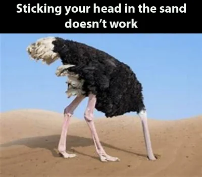 Ostrich2.jpg