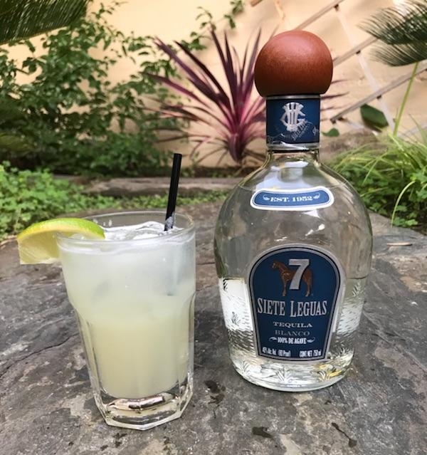 siete leguas paloma A tasty blend of fresh lemon juice, grapefruit juice, Siete Leguas tequila and a splash of lemon lime soda $8