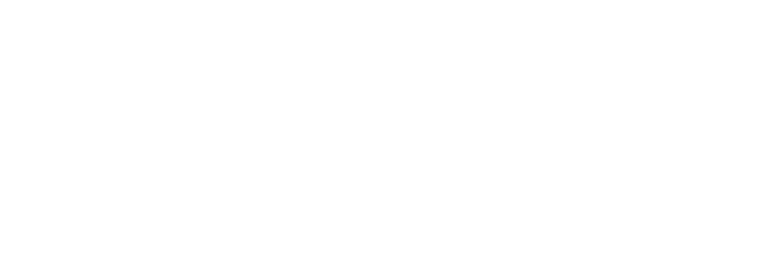 enation-logo-2017-white.png