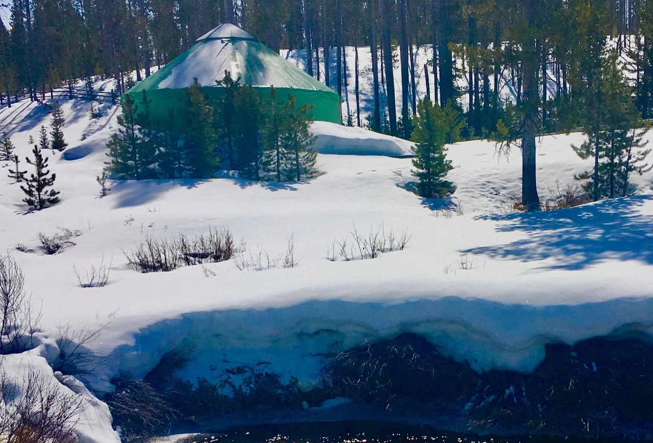 Carstyurt 1 copy 2.jpeg