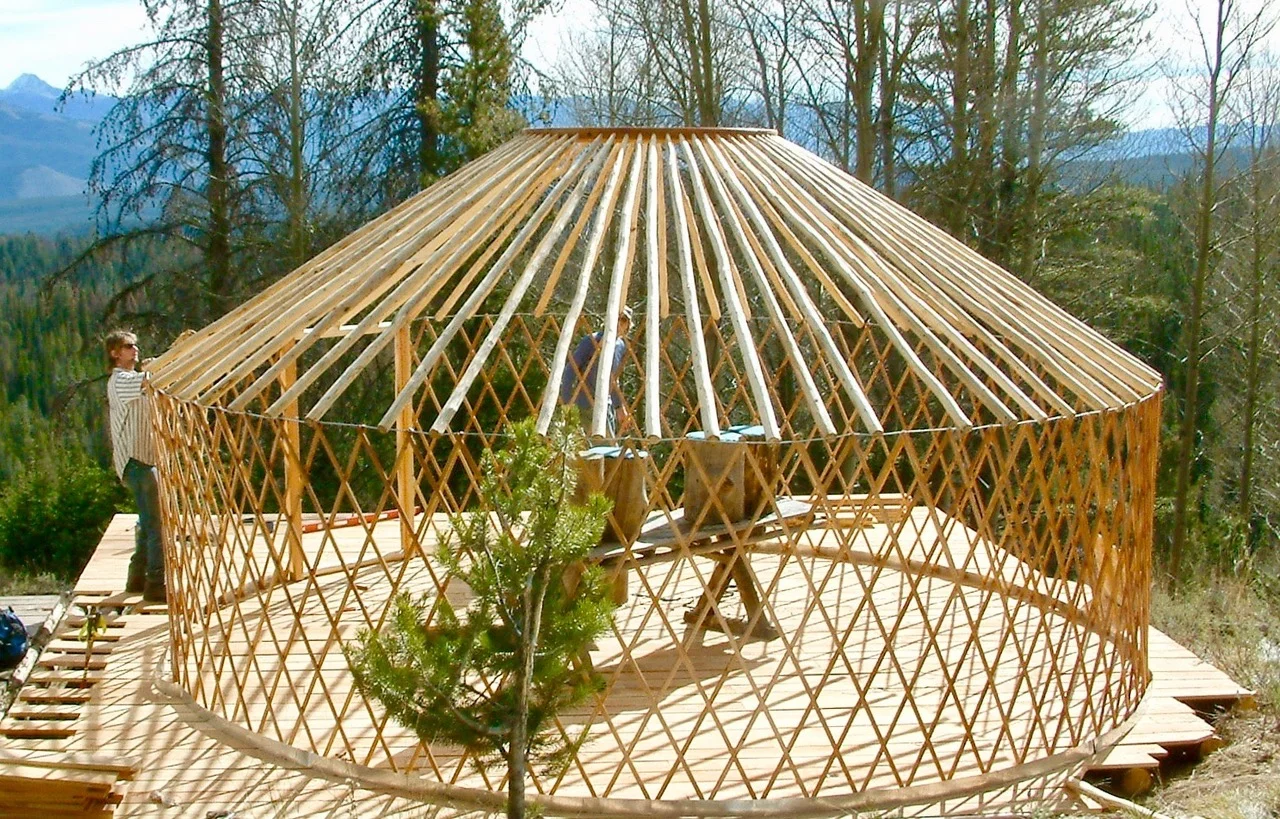 WmPk  Project (1).jpeg