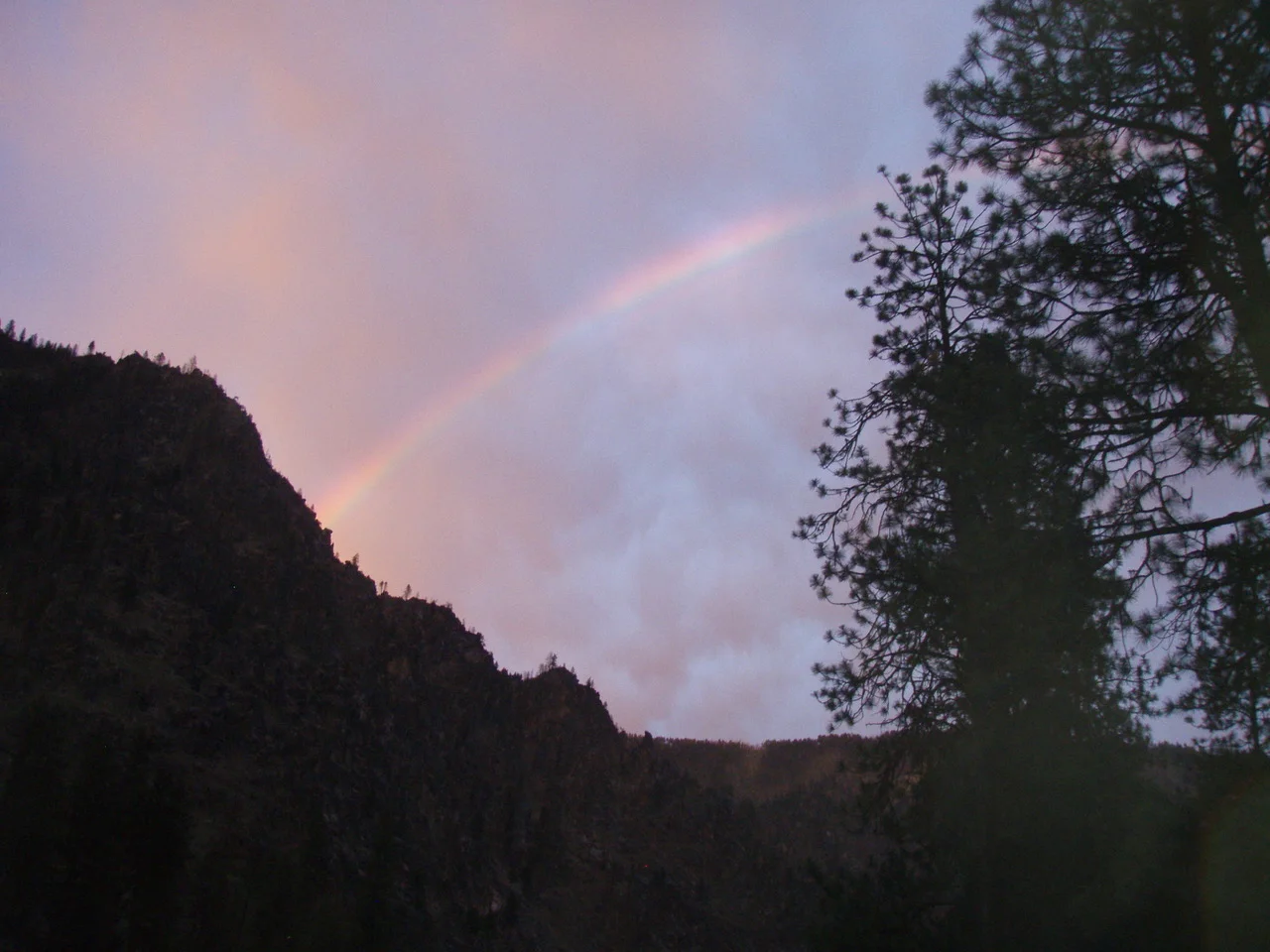 S.Salmon rainbow copy.jpeg