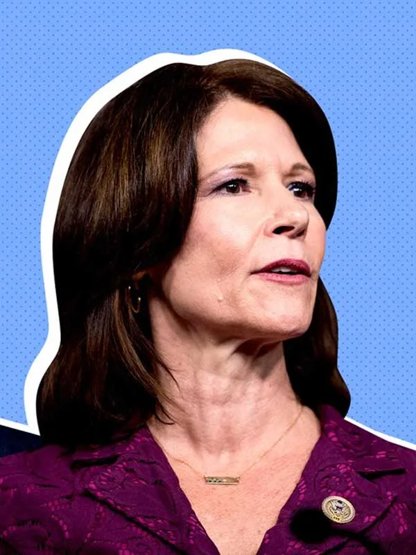 The Democratic Party Is Waging a War Against Its Very Own Base