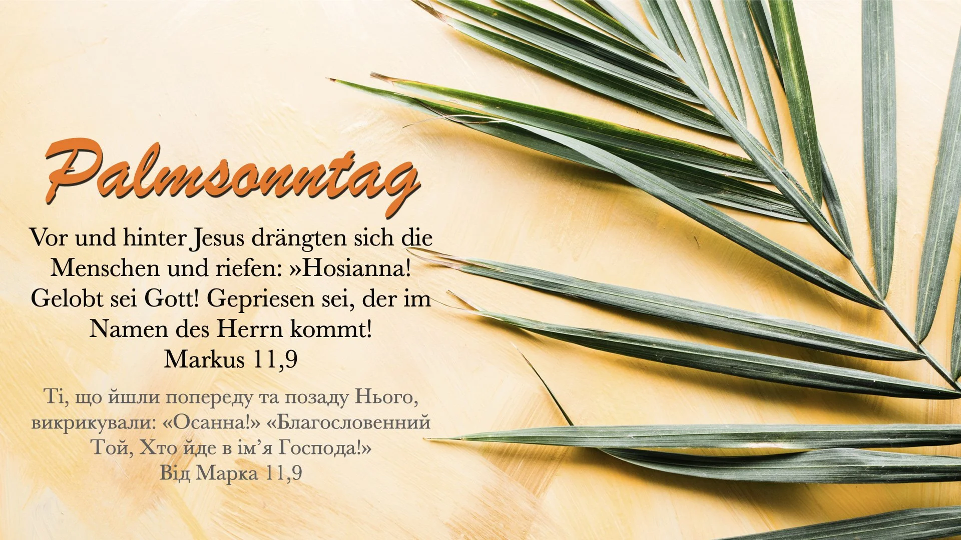 Palmsonntag - Ein demütiger König ist angekommen