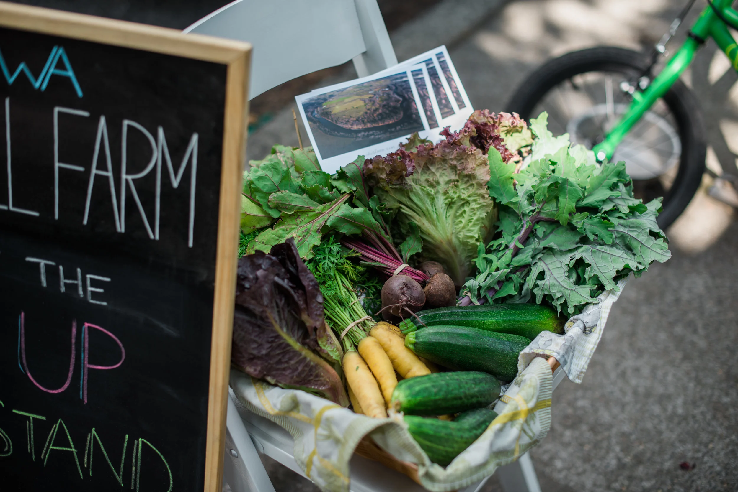 Every young person should have access to food like this, grown in healthy soil. You can play a small role in helping this happen!