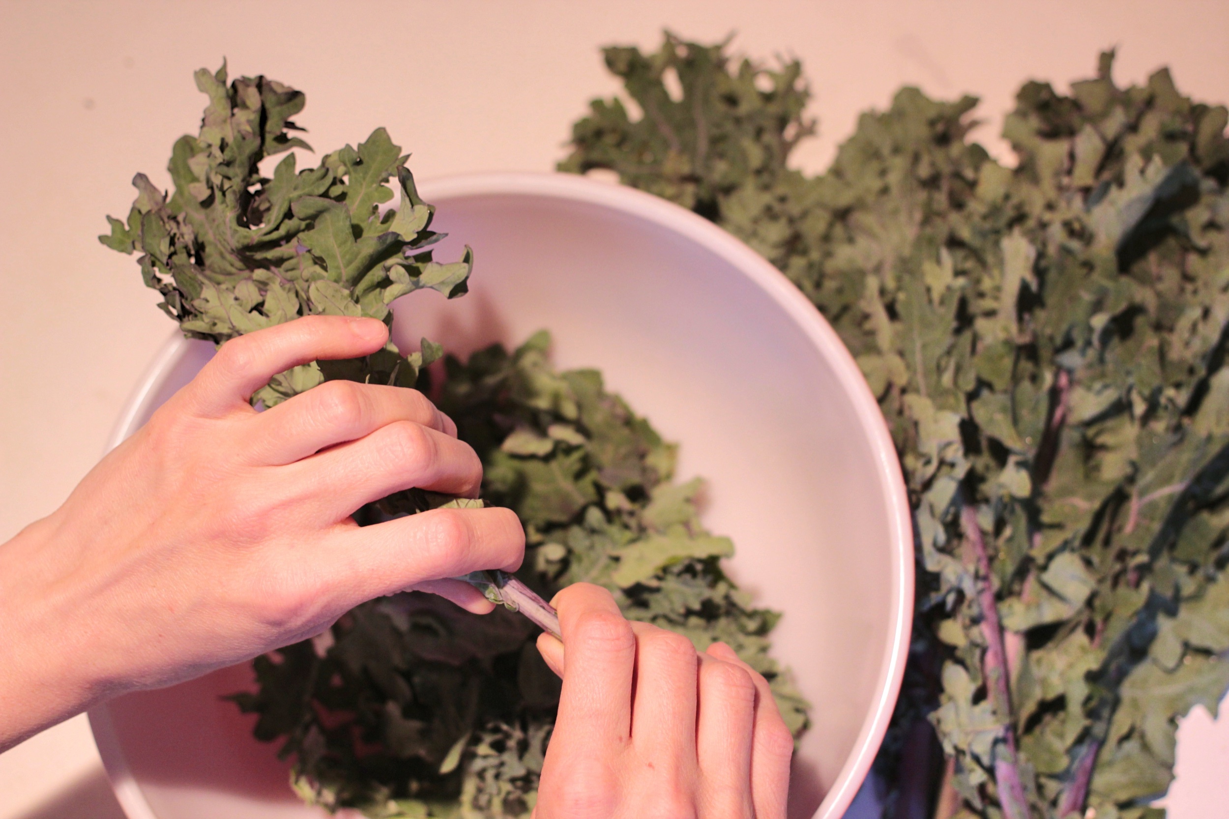 De-Stemming the Kale