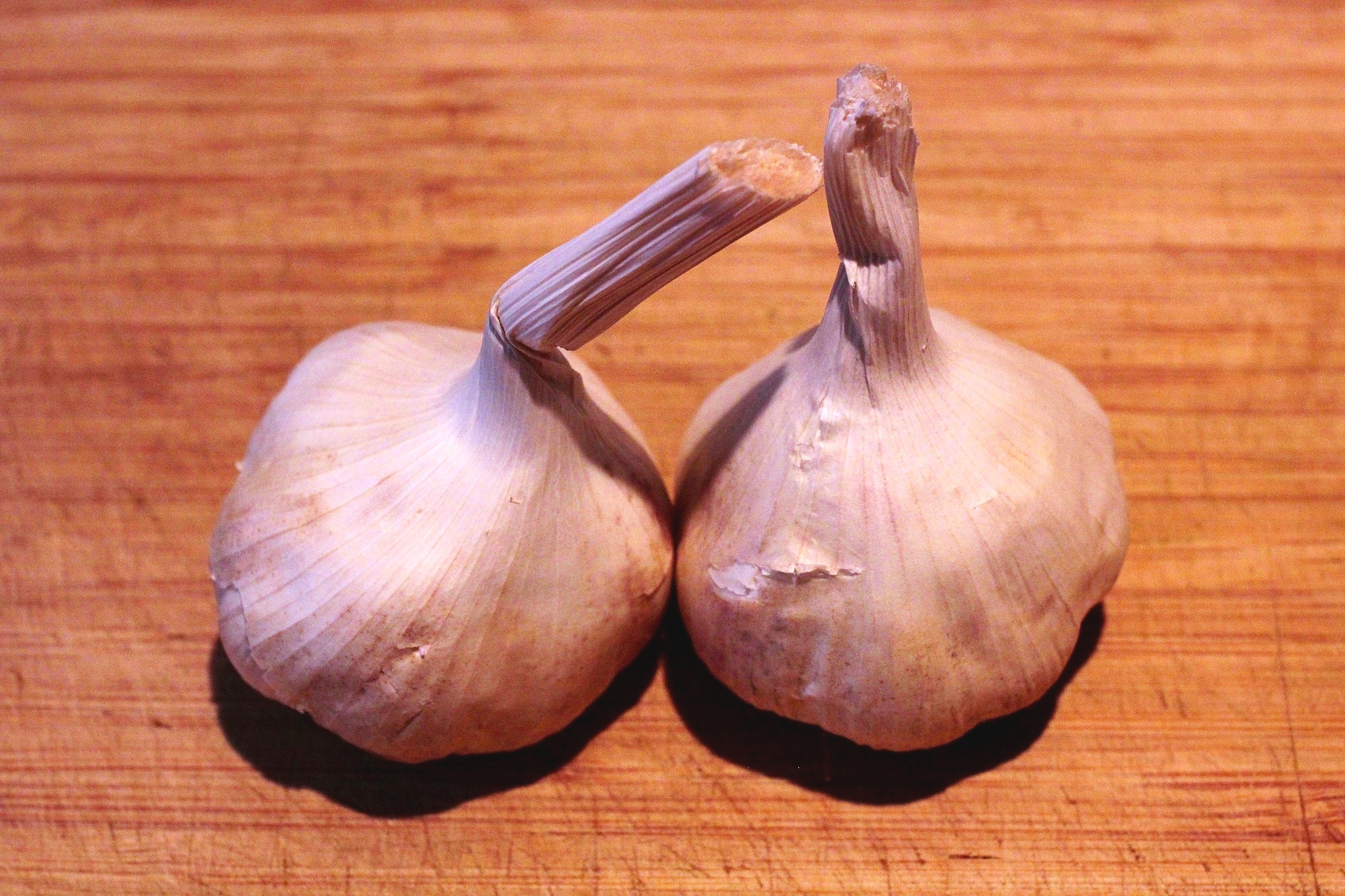 Garlic Lovers