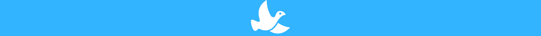 170124 BIRDS WEB ICONS.png