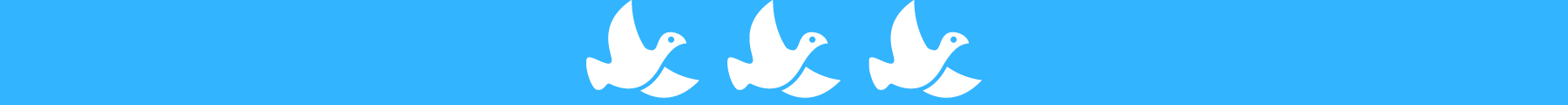 170124 BIRDS WEB ICONS3.png