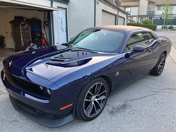 Birds Auto Detail Los Angeles, Pasadena, Glendale, Downtown LA