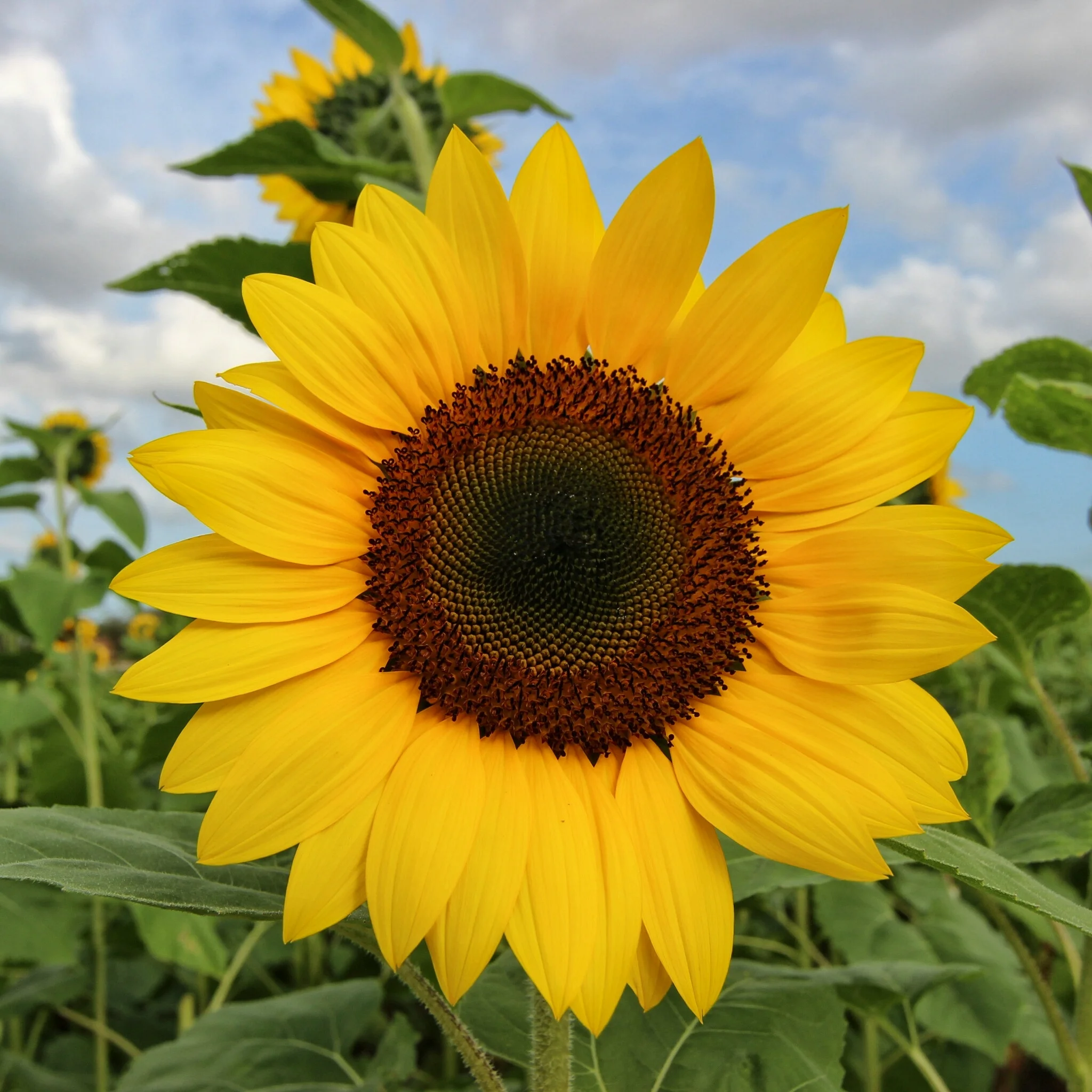 2016-02-23 05.33.46-02.jpeg