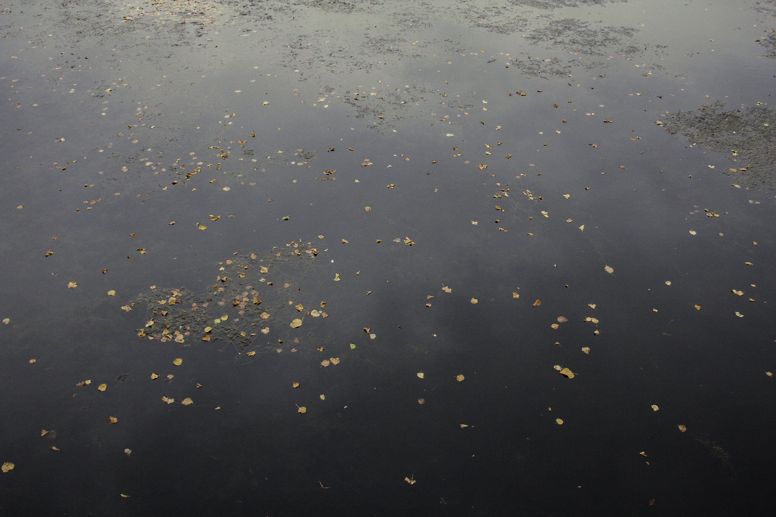 Outside-8.jpg