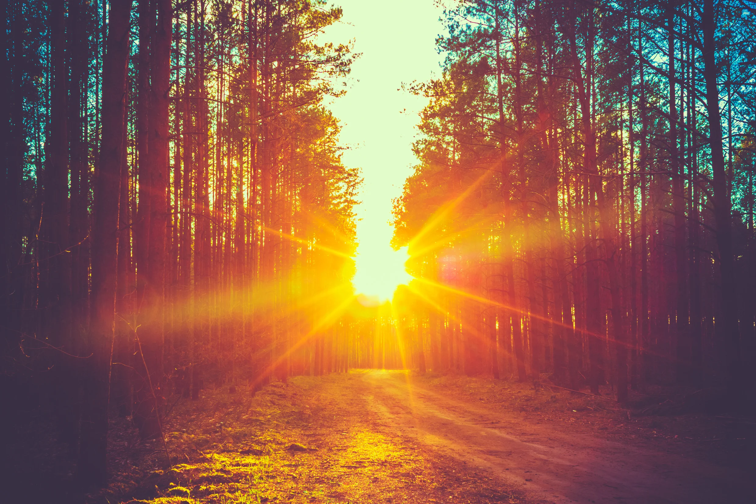 Photo by bruev/iStock / Getty Images
