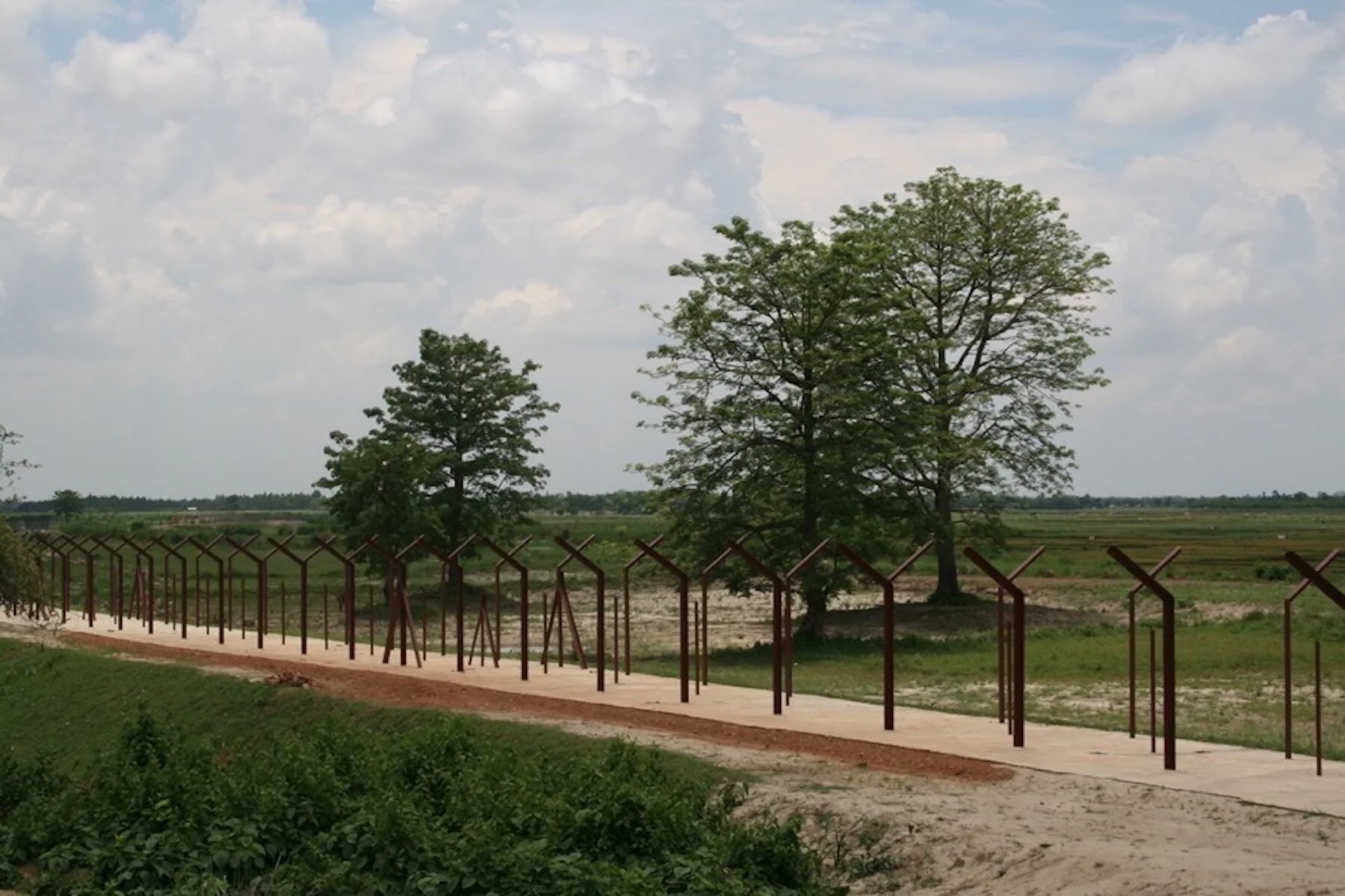 Reflections on the Value of Malini Sur’s Jungle Passports (2021)