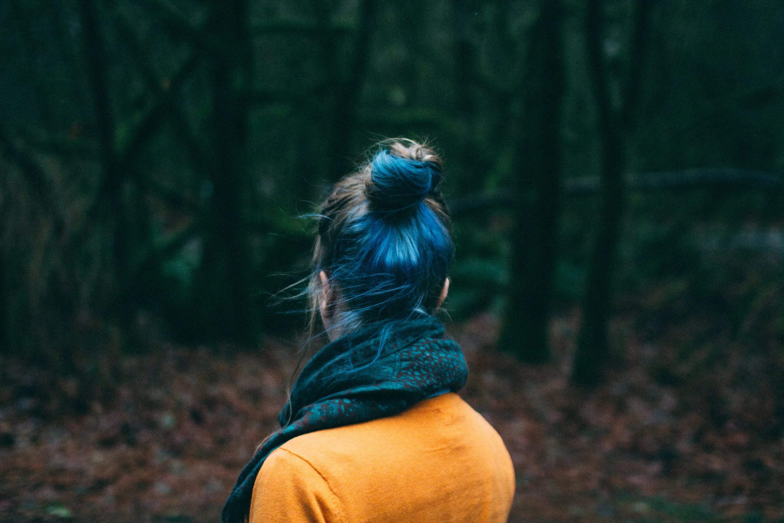 pexels-photo-63874.jpeg