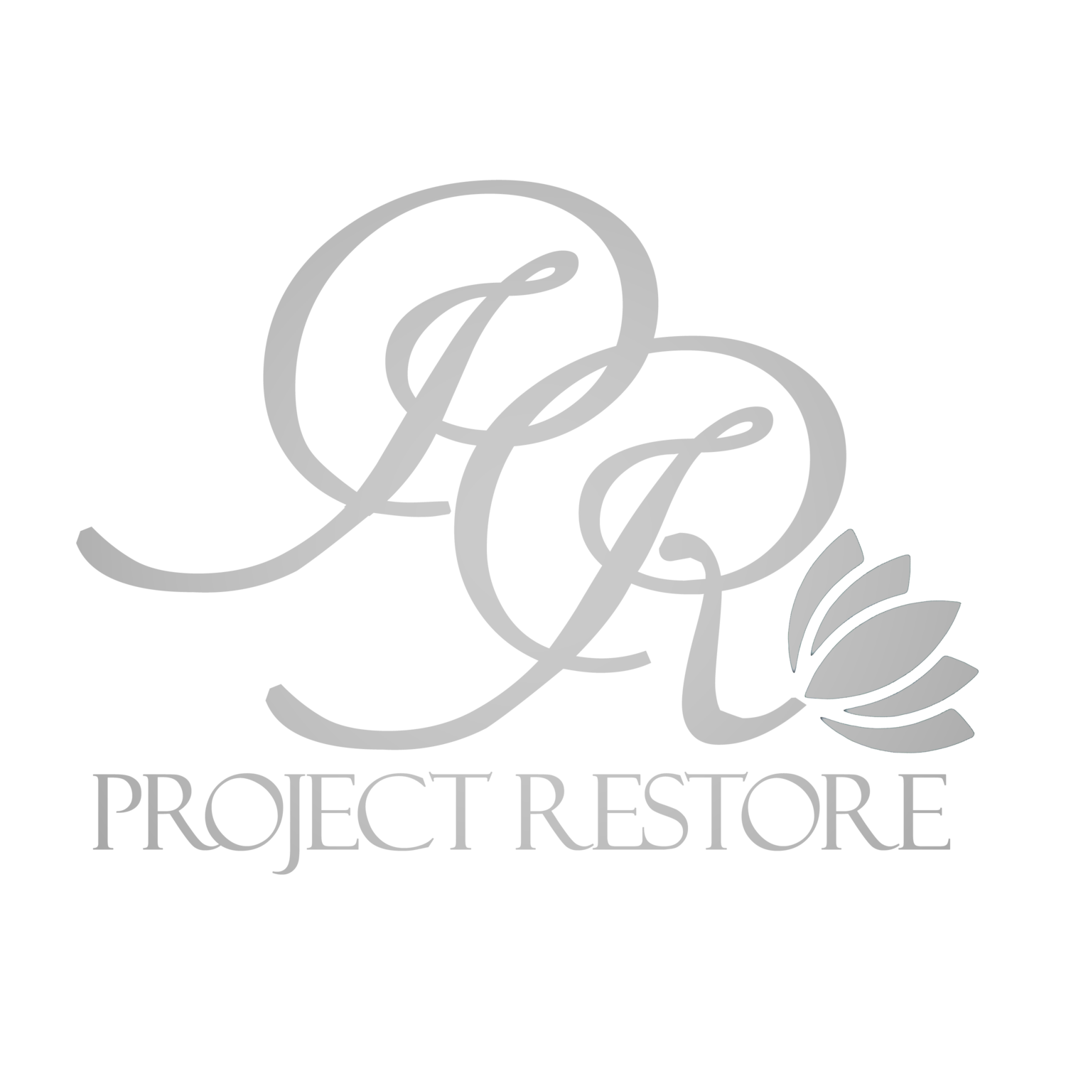Project Restore