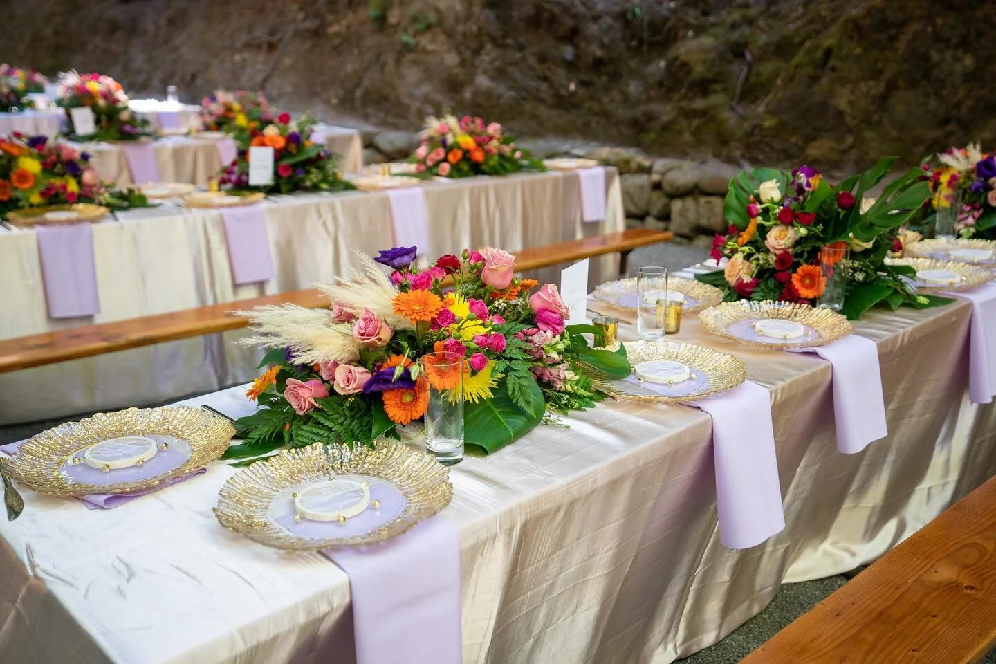 Glam under the redwood trees 

@saratogaspringsweddings 
@weddingdocumentary 
@lime_light_productions 
@mehndidesigner 
@makeupbymitasha 
@jalsacatering 
@officialdjwicked 
@princehorserental 
@marvel__cake 

#sabadecor #receptiondecor #modernwedding