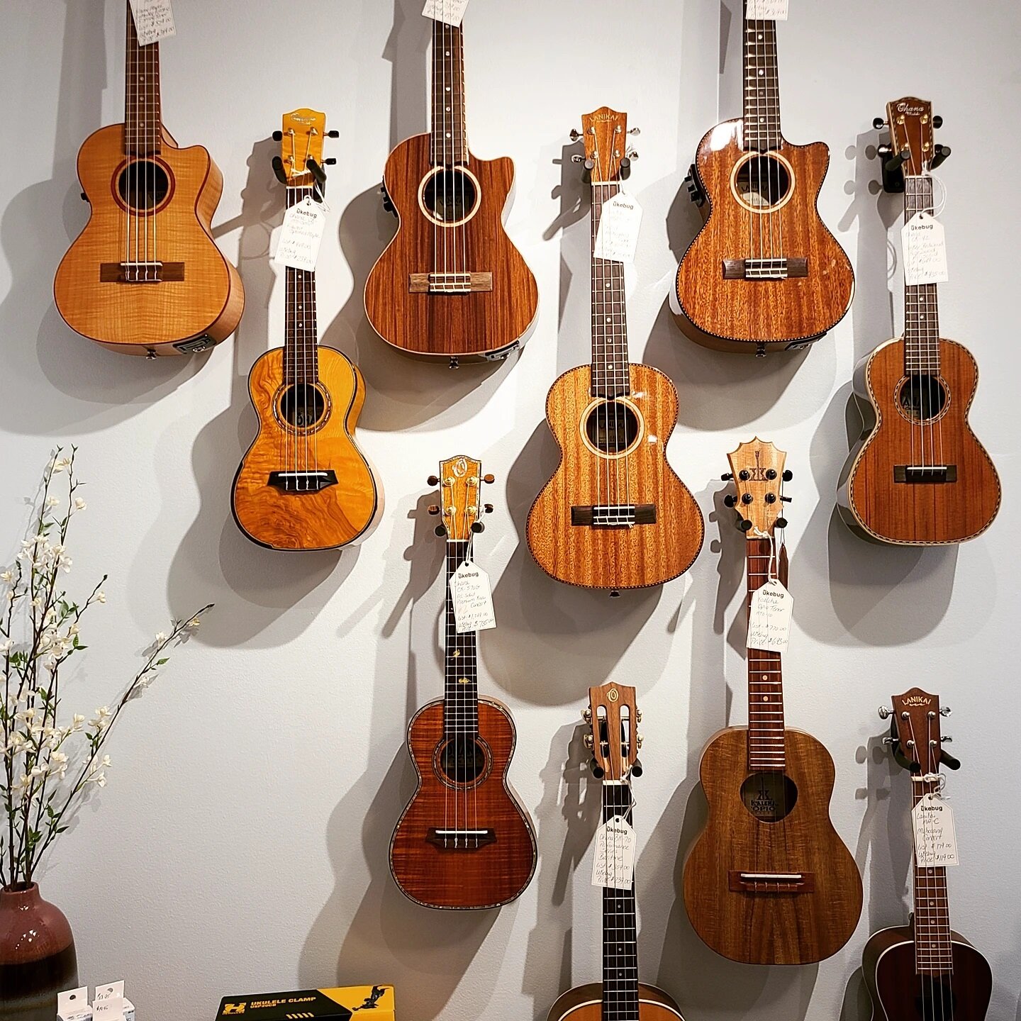 Ukes on the wall!&nbsp; 🥰