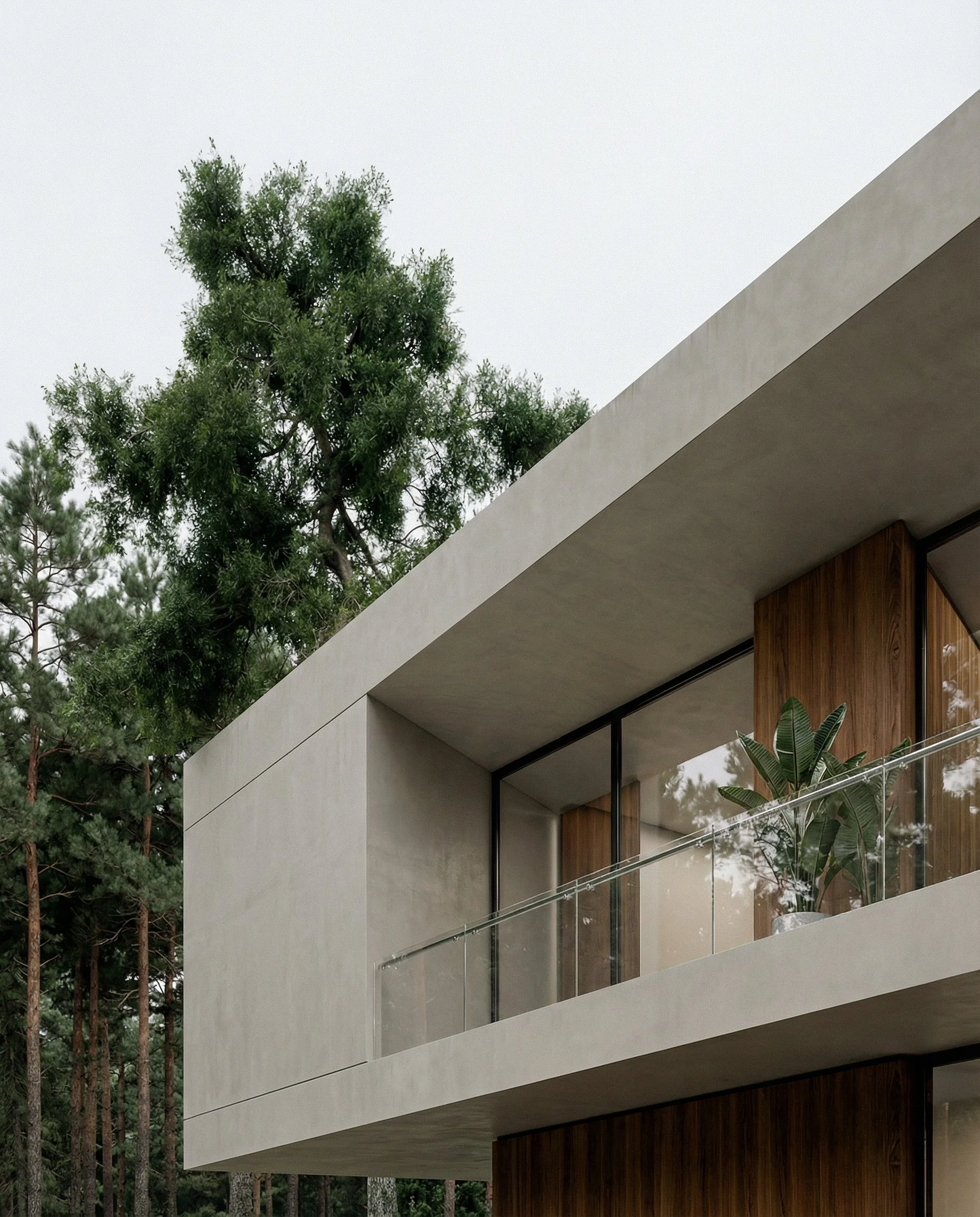 2026-02-13 11-25-25.jpg