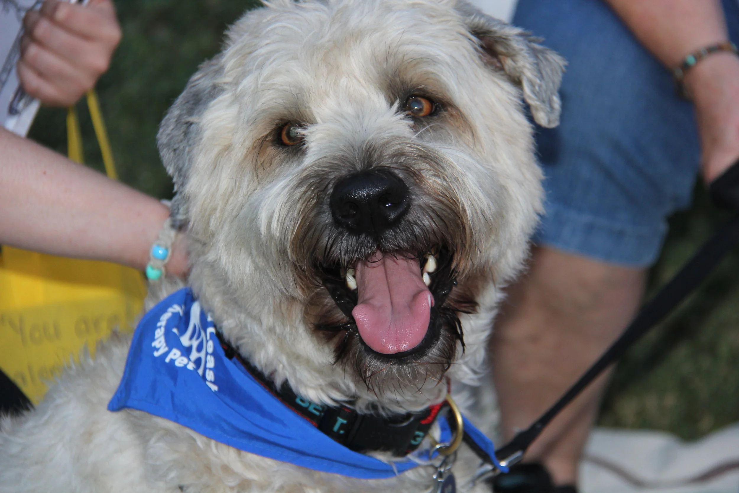 Social Entrepreneur + Founder of Sunlight Retreats on Needed Social Innovation in Sexual Assault Survivor Support