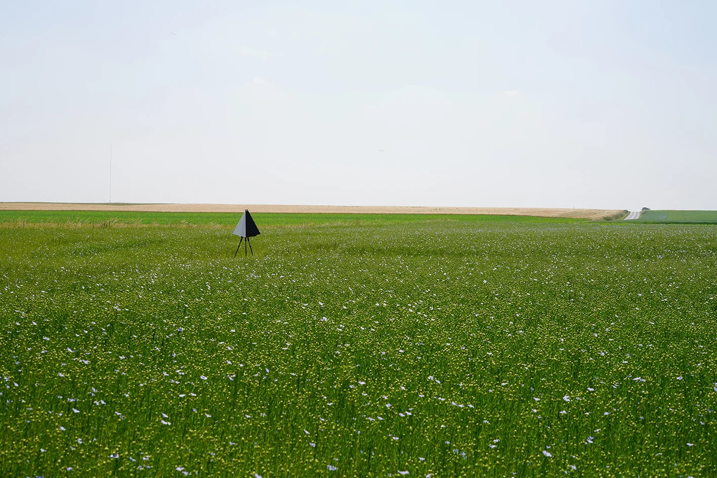 DAY FOUR: HALLINES TO FIEFS